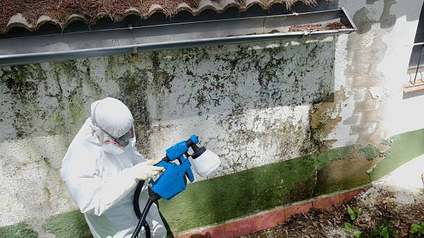 Trusted Crawl Space Mold Removal service in Fairfield, IL - Cheap Mold Removal